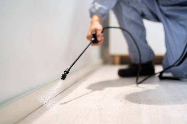 Licensed Pest Control service in East Quincy, CA - Show Me Pest Control